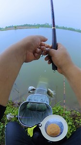 524K views · 10K reactions | ตกปลาธรรมชาติ #oldghost #918 #barfilon | Centaur（ชิงหลิว ）Fishing Shop | Facebook