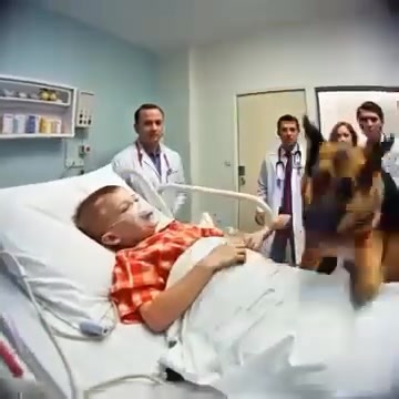 A retired K9 refused to leave a boy’s bed and bit the frame — what doctors found next stunned everyone. (check in the first comment👇) | Rusty Cooley