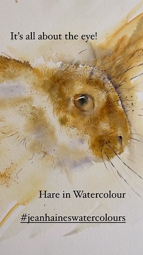 Jean Haines Watercolours on Reels