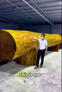 Golden Nanmu (Jinsi Nanmu) is a rare, valuable wood once reserved for Chinese royalty, prized for its golden “silk” patterns and durability.