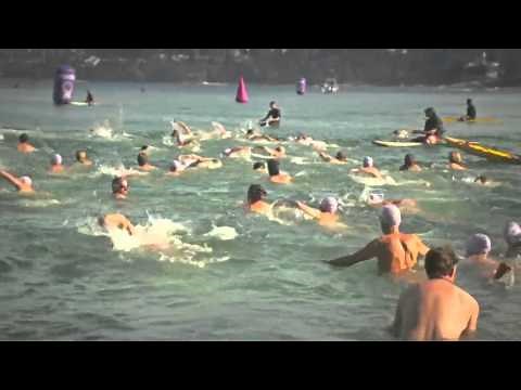The Sydney Skinny 2014
