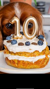 23K views · 143 reactions | A Dog Cake to celebrate and spoil your...