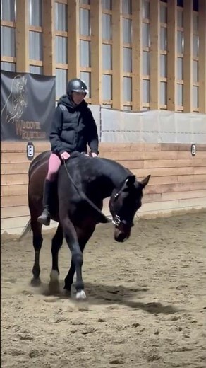 Little bareback ride 🤭 #horses #maverick #bareback #equestrian