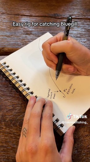 Take Me Fishing on TikTok