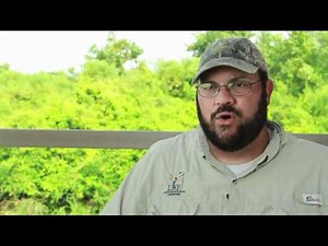 Welcome to the Louisiana Delta