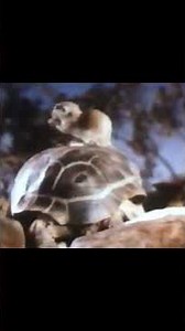 "Man is His Own Worst Enemy" - Ludwig Von Drake *Click the link to see the full cartoon!