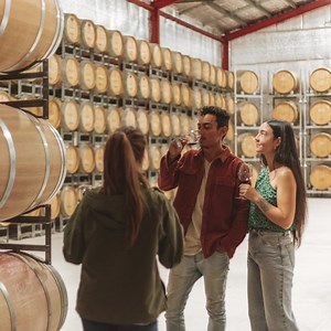 The Must Do Experiences in Western Australia. Looking for inspiration for things to do in WA? In no particular order, we present our top picks for experiences to do out west... 🤿 Ningaloo Lagoon Kayak and Snorkel Tour ☀️ Guided Buggy Tour at Hutt Lagoon 🦈 Swim with Whale Sharks 🍷 Wine Tasting and Tour in Margaret River 🚁 Helicopter Flight in Broome with Beach Picnic 🎈Hot Air Balloon Flight over Avon Valley Click the link to learn more about the exciting experiences in WA: bit.ly/43kAgSJ | R