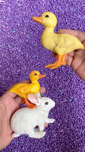 duck, rabbit