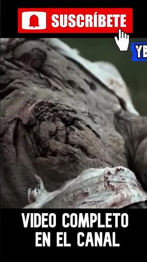 La Caminante de la Bicicleta - Webisodio #thewalkingdead #rickgrimes #shorts I The Walking Dead