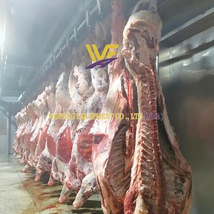 [Hot Item] Halal Cattle Slaughterhouse Machine for Beef Turnkey Slaughter Abattoir Plant