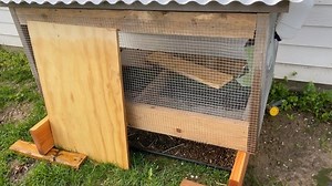 Morning ⛅️. Wynken & Blynken update. | Doss Farms