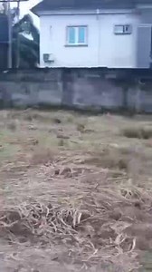 800sqm of land fully fenced with gate at area C new owerri a corner piece. Title document : government allocation documents and C of O. Price: ₦95m slightly negotiable Call 07034513052 Owerri Property Search | Prince Kelechi Iwueze | Facebook