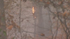 2.2K views · 49 reactions | UPDATE: The brush fire burning in Pulaski and Giles counties has burned about 100 acres as of this afternoon: bit.ly/3SmShxM | WDBJ7 | Facebook