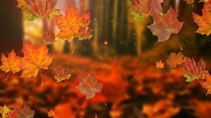 clip-30655882-autumn-leaves-falling-slow-motion-sun-shining