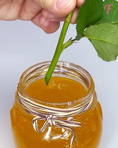 Cultiva flores vivas y llamativas en espacios interiores con sencillas técnicas DIY. | Fabiosa Diario