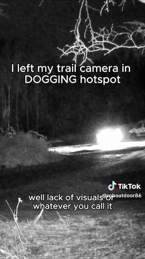 Trail camera left in dogging hotspot car park #dogging #fyp #viral #funny #comedy