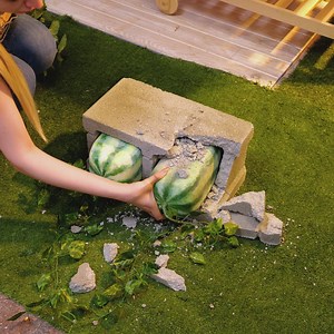 12K views · 18 reactions | Crescere Il Tuo Giardino dei Sogni: Il Paradiso dell'Anguria | 5 Minuti Creativi Famiglia | Facebook