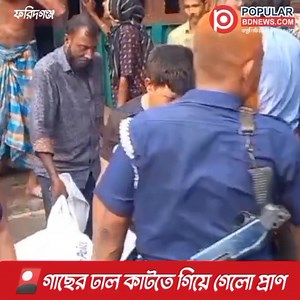 গাছের ঢাল কাটতে গিয়ে... | Popularbdnews - পপুলার বিডিনিউজ