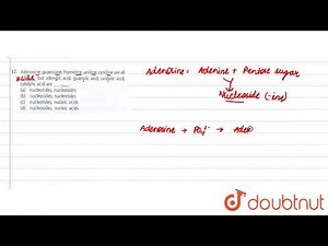 Adenosine, guanosine, thymidine, uridine, cytidine are all ____ but adenylic acid, guanylic