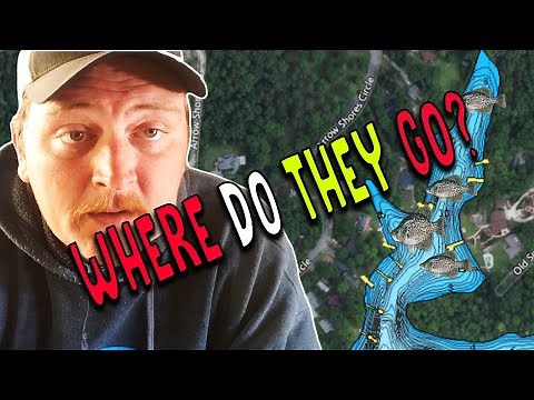 Where Do Crappie Go After The Spawn (And HOW TO CATCH THEM)