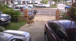 7K views | Arrive Alive on Reels | Facebook