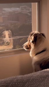 Todo está en la banda sonora. | Beto Villa