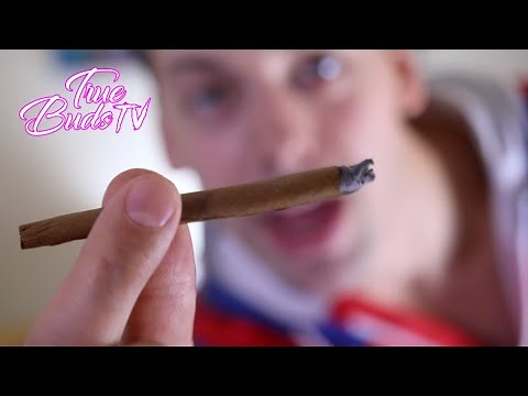 Rolling Up A White Owl Blunt Using Caligars Gluegar and Scoop Heads Little Scoops