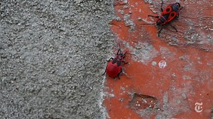 Our scientific research coordinator doing great work ￼ | Clean Futures Fund