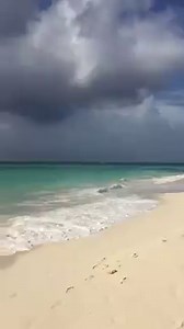 2.6K views | If Carlsberg did Monday mornings.....just checking out of Turtle Beach by Elegant Hotels to do a site inspection of the infamous Sandy Lane Hotel Barbados #travelcounsellors #barbados #lovelifelovetravel #surroundyourselfwithwinners | Mandy Walsh - Travel Counsellors | Facebook