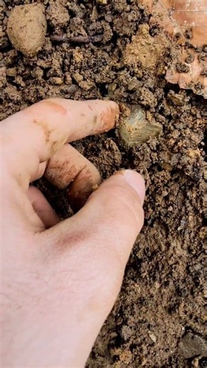 So many Crystals! Calcite Crystals 💎 Found in New York! Found at Mohawk Valley Mineral Mining | DiscoveringMinerals