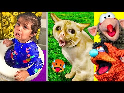 Try NOT To LAUGH (Impossible Funny CHALLENGE!)