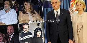 Ugradnja košnice 🌿 Sve O Vrtu I Vrt Dizajn - 2025