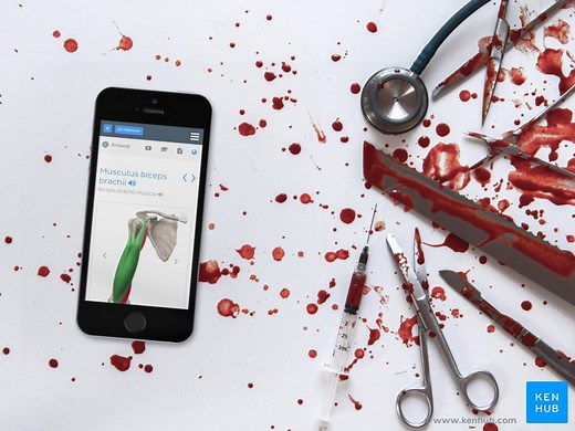 Looking for a Kenhub app?