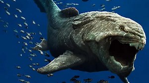 Why Dunkleosteus dominated the ocean long before the age of dinosaurs