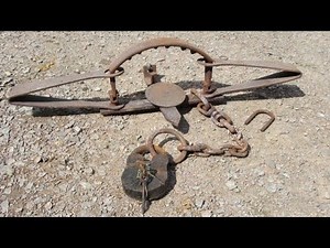 bear trap sound effect