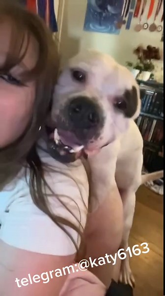 Milly Dog Knotting Video #1