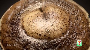 セブンカフェの特徴