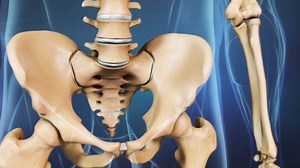 The SI joint at the bottom of your spine carries a heavy load. Watch the full animated video here: http://bit.ly/1SoiqXQ | Spine-health