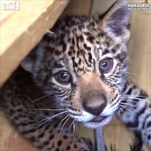 64K views · 5.9K reactions | It's finally time… Keira will be moving...