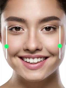 Virtual 3D AI Plastic Surgery Simulator