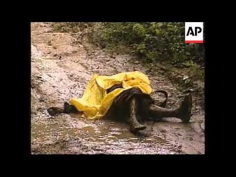 CENTRAL AMERICA: HURRICANE MITCH AFTERMATH (2)