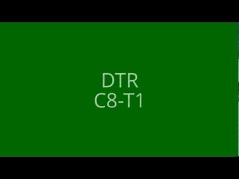 C8-T1 DTR