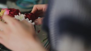 Growing flowers in patio containers