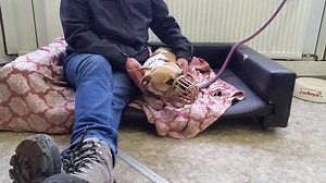 Jim Wie wir Menschen, so können auch Hunde unterschiedlicher Stimmung sein. Jim zum Beispiel: Mal ist er entspannt und kann recht viel "(er)tragen". Mal sind die Nerven weniger stark und entsprechend reagiert er schneller auf Situationen, die ihm nicht gefallen. Seine Hauptthemen sind: Futteraggression und, hier im Video zu sehen, angefasst werden. Grundsätzlich ist er ein eher ernster Typ. Er kann am besten mit seiner Hauptbezugsperson Nicole locker sein. Anderen Menschen gegenüber verhält er s