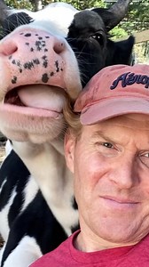 What are escaped dairy cows like when they escape from dairy farms and get to be loved like family members? Jenna demonstrates this so clearly. She is so loving and full of life and happiness. And we want all cows to have the chance to thrive like this. That is why we hope you'll visit Ditch Dairy for Jenna and sign the pledge to see just how easy it is to give up dairy and support happily ever afters for dairy cows like Jenna! | Life With Pigs