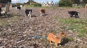 Milo Foundation on Reels