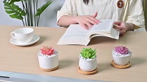 2 PCS Succulent Pot Cactus Containers White Ceramic Planter with Drainage Hole and Removable Tray Small Plant Pots for Home Office Decor Bonsai Container for Indoor Outdoor Plants (Honeycomb)