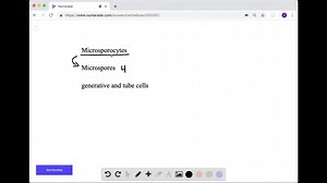 SOLVED:This colorized SEM shows pollen grains from six plant species. Explain how a pollen grain forms, how it functions, and how pollen grains contributed to the dominance of angiosperms and other seed plants.