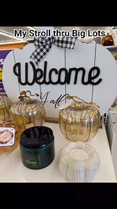 7.2K views · 61 reactions | Strolling thru Big Lots and forgot what I went in there for  #falldecor #fallvibes #fallstyle #bohohippiechick | Boho Hippie Chick | Facebook