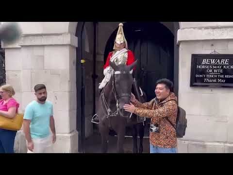 BREAKING: The Kings Royal Guards FINALLY Snap at Stupid Tourists!